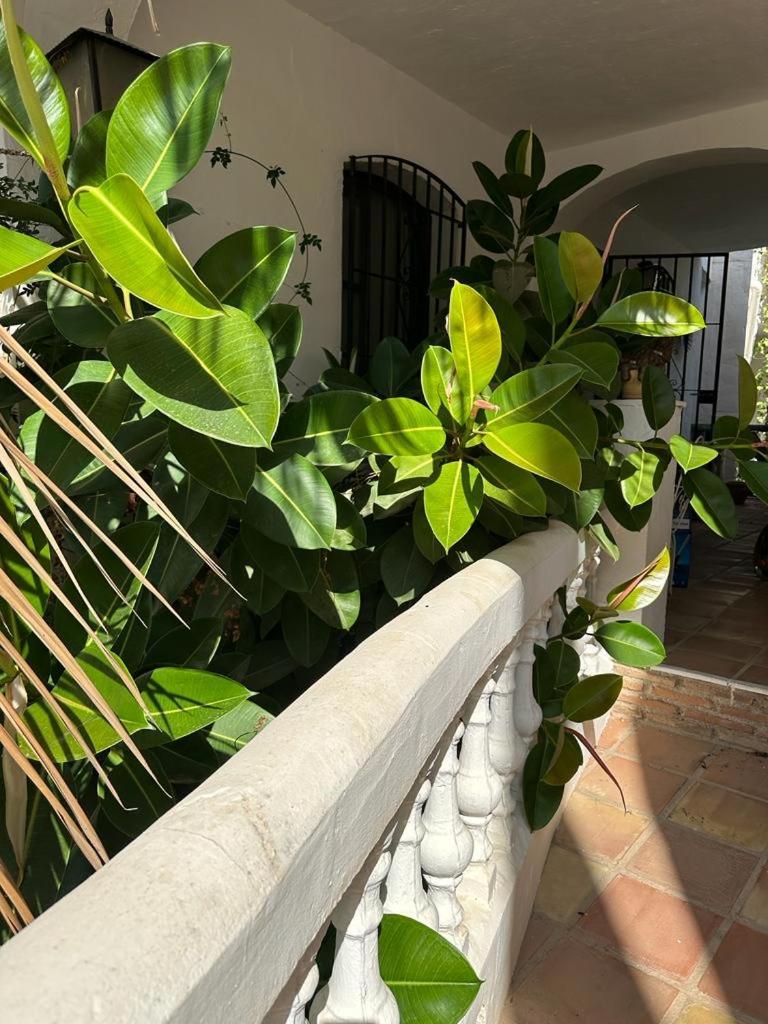 Monte Cielo Appartement Nerja Buitenkant foto